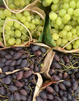 Testpaket "An alle Geschmäcker gedacht"